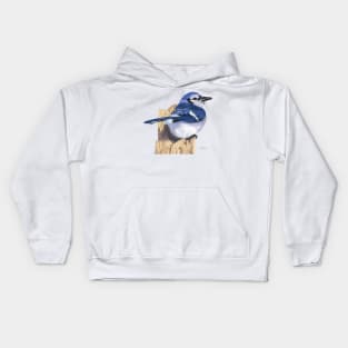 Blue Jay Backyard Bird Kids Hoodie